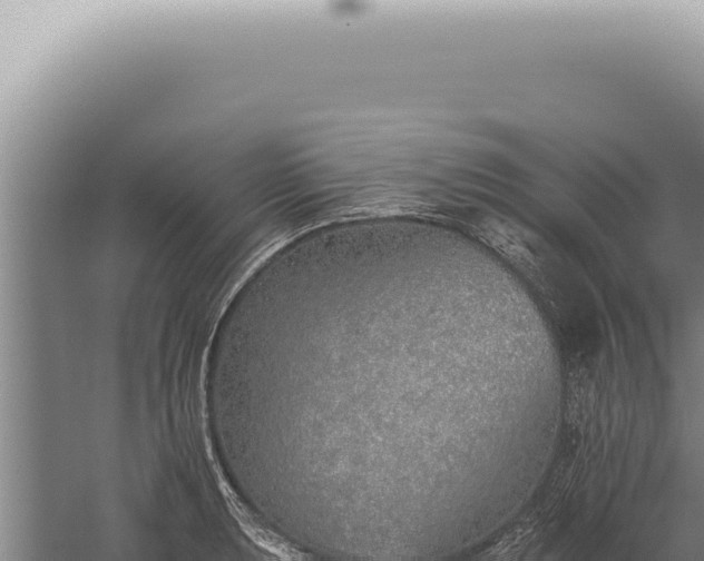 X0000059821039200510281726