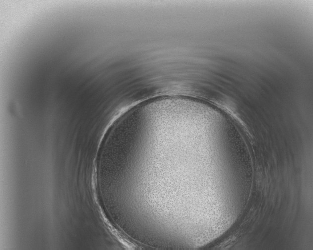 X0000059821040200510281726