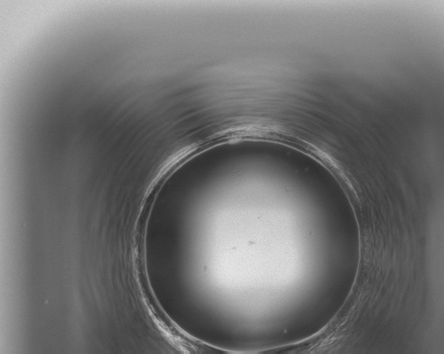 X0000059821042200510281726