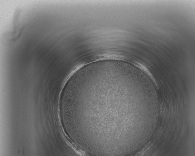 X0000059821043200510281726