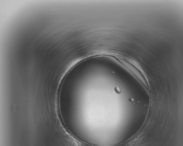 X0000059821048200510281726