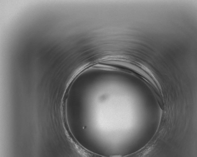 X0000059821050200510281726