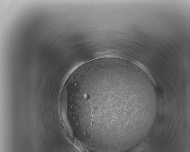 X0000059821051200510281726