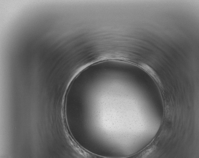 X0000059821052200510281726