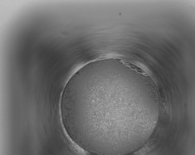 X0000059821055200510281726