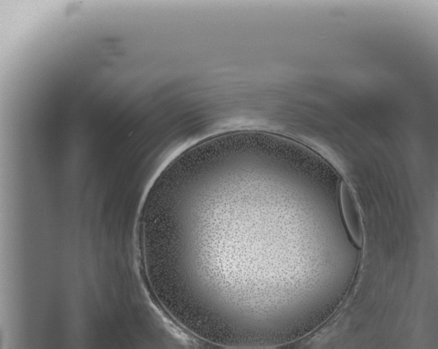 X0000059821056200510281726