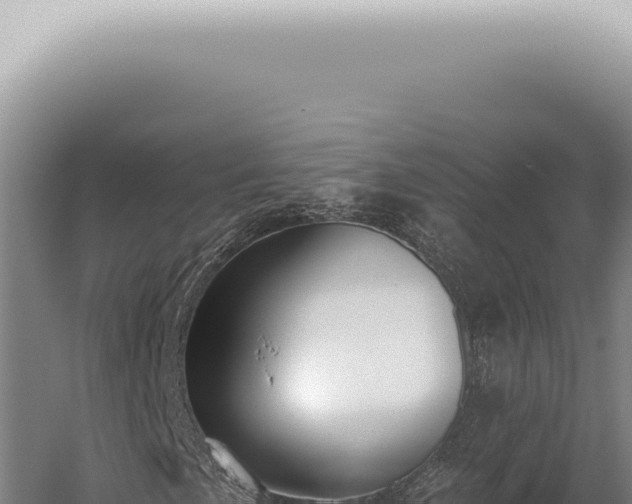 X0000059821057200510281726