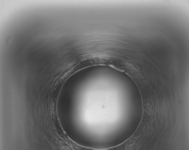 X0000059821061200510281726