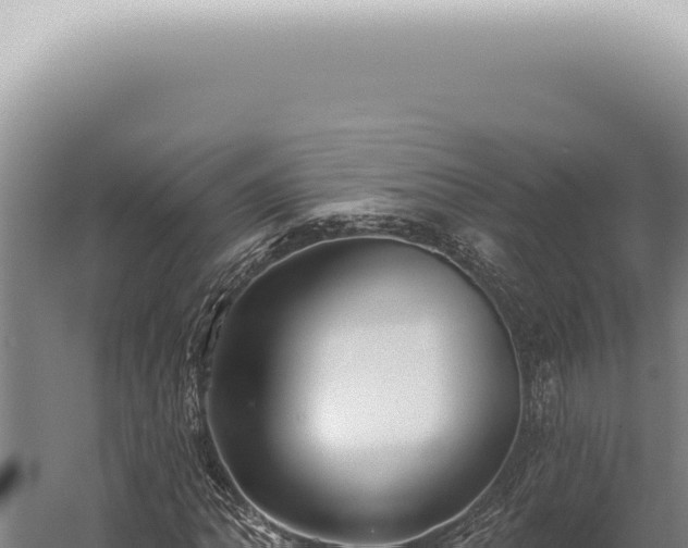 X0000059821062200510281725