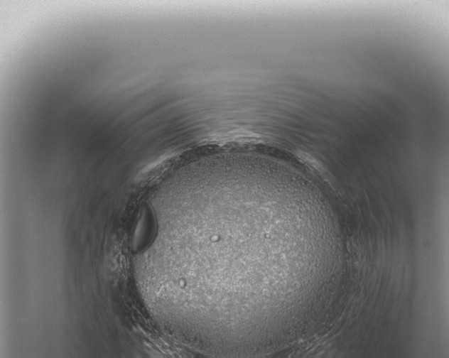 X0000059821063200510281725