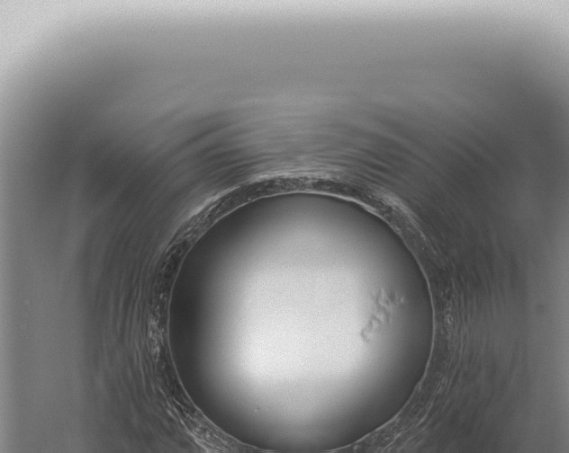 X0000059821064200510281725