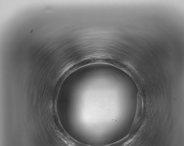 X0000059821065200510281725