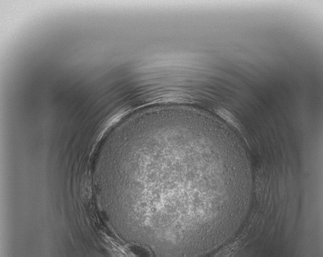 X0000059821067200510281725