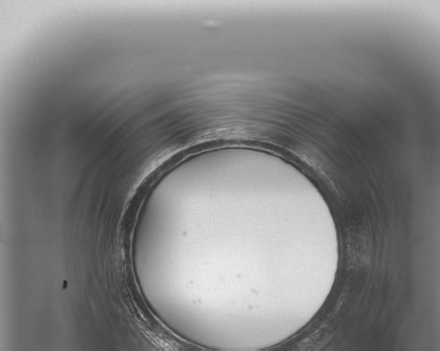 X0000059821070200510281725