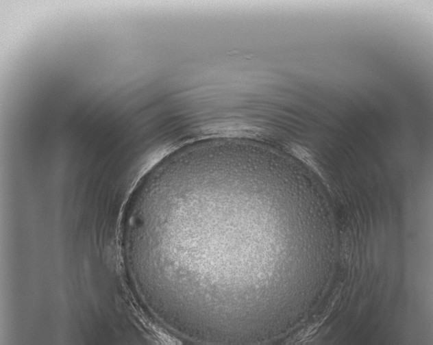 X0000059821071200510281725