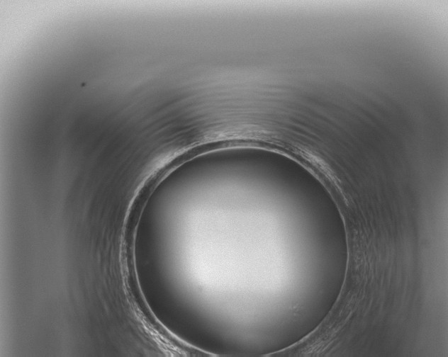 X0000059821072200510281725