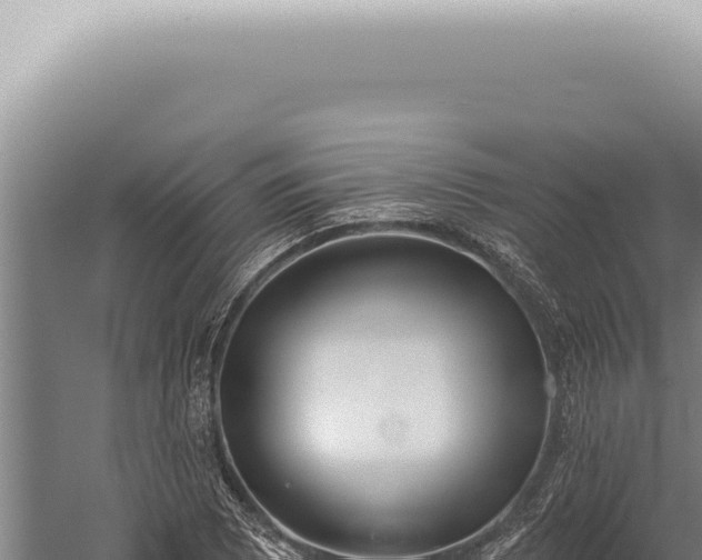 X0000059821073200510281725