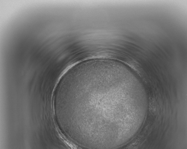 X0000059821078200510281725