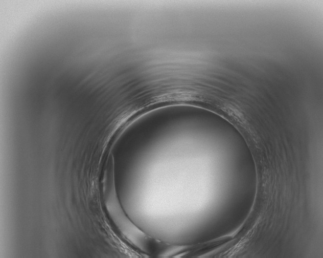 X0000059821081200510281725