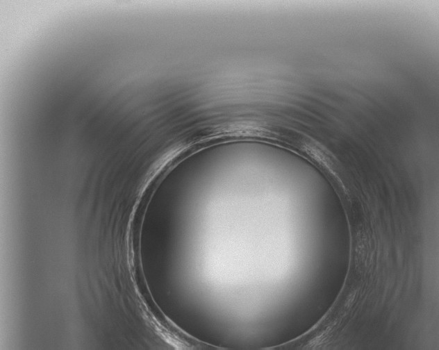 X0000059821082200510281725