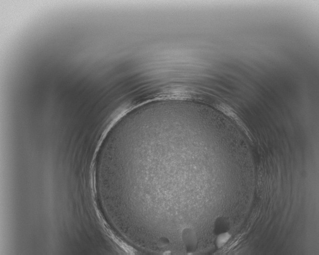 X0000059821083200510281725