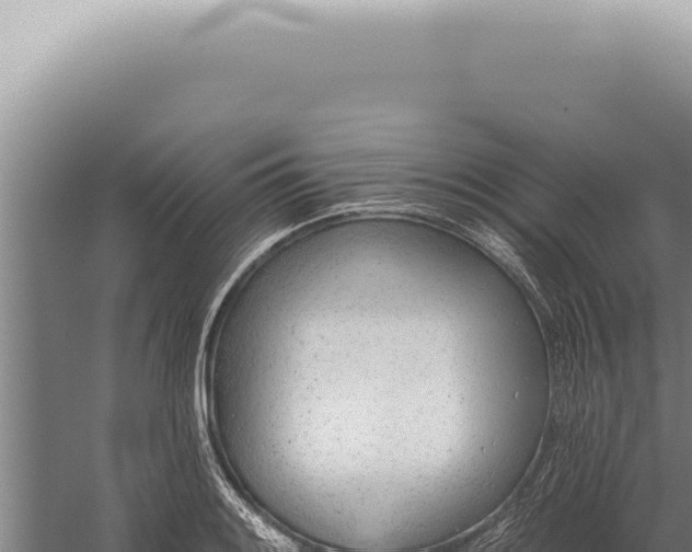 X0000059821084200510281725