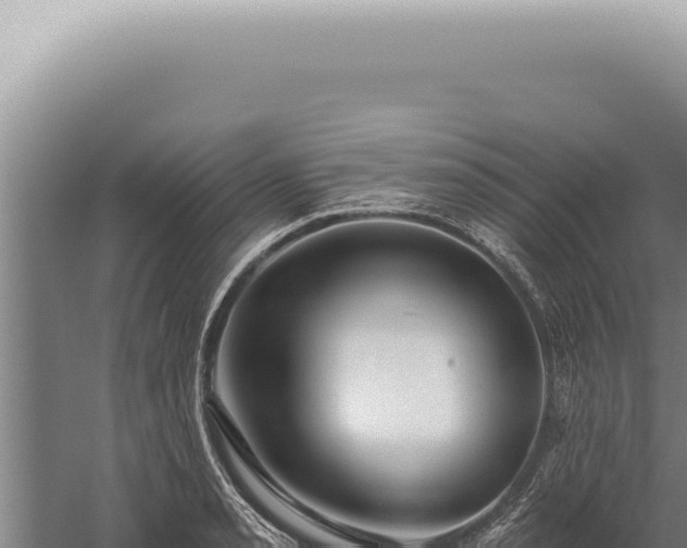 X0000059821085200510281725