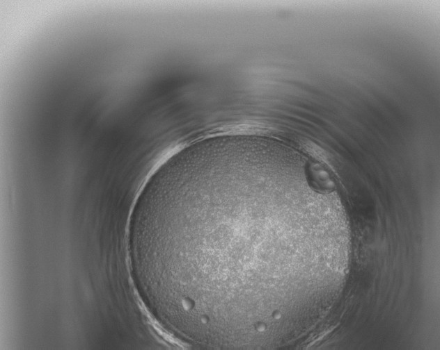 X0000059821087200510281725