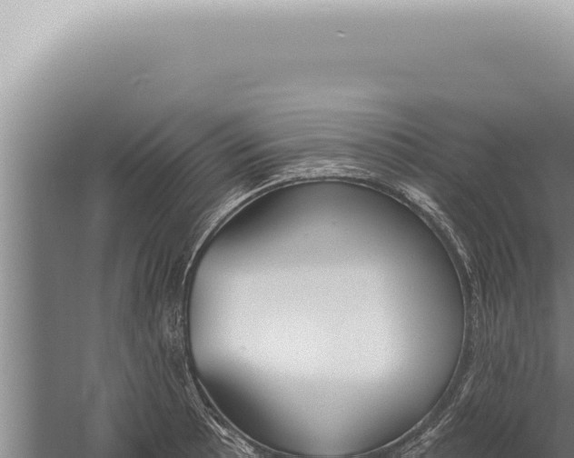 X0000059821089200510281725