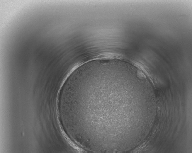 X0000059821091200510281725