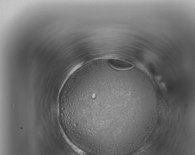 X0000059821095200510281725