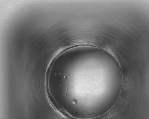 X0000059821096200510281725