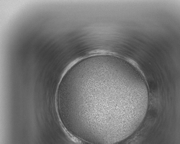 X0000059821098200510281725