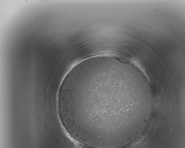 X0000059821099200510281725