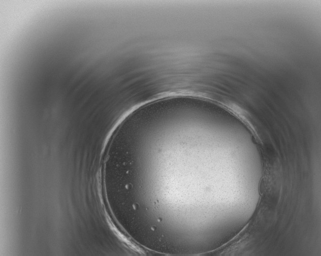 X0000059821100200510281725