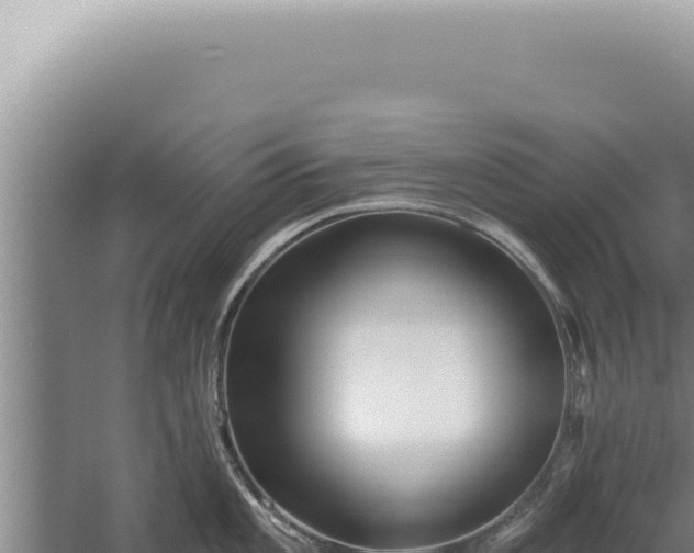 X0000059821101200510281725