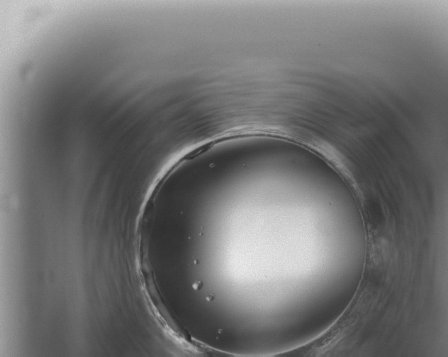 X0000059821102200510281725