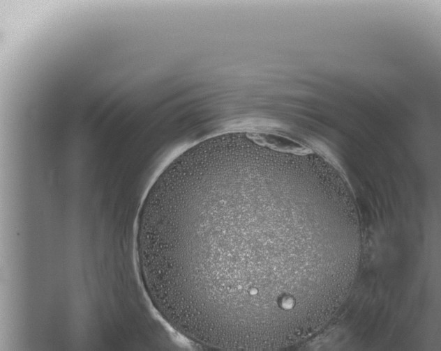 X0000059821103200510281725