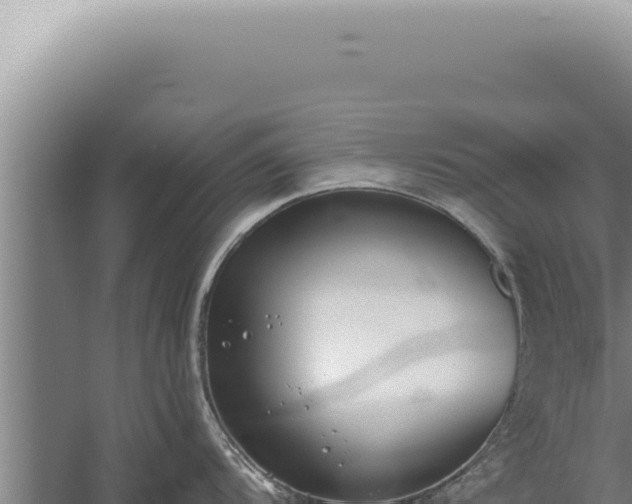 X0000059821104200510281725