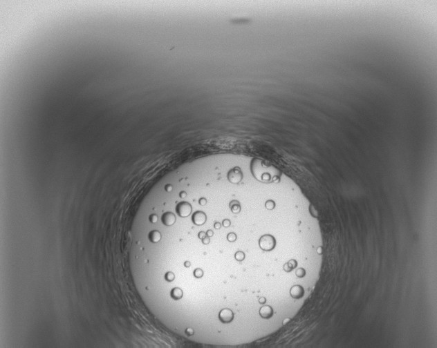 X0000059821105200510281724