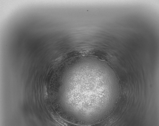 X0000059821106200510281724