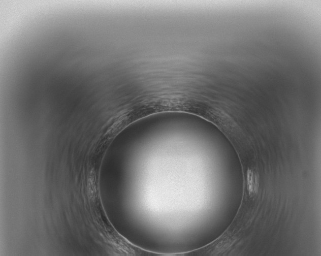 X0000059821107200510281724