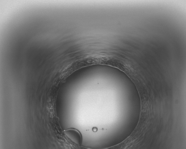 X0000059821109200510281724