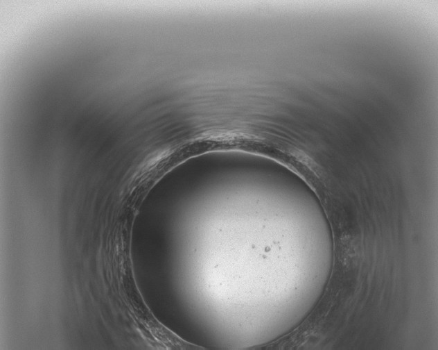 X0000059821111200510281724