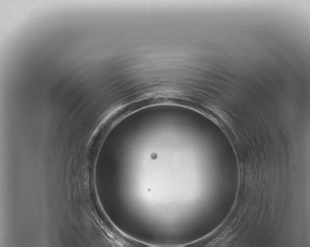 X0000059821115200510281724