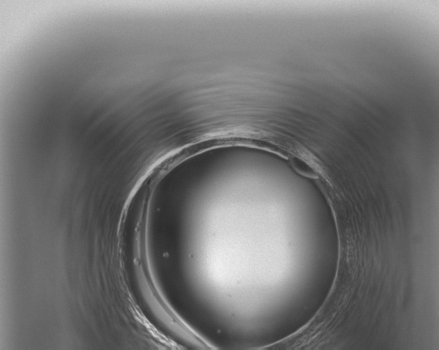 X0000059821116200510281724