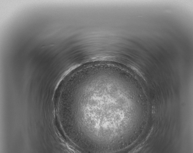 X0000059821117200510281724