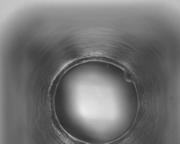 X0000059821118200510281724