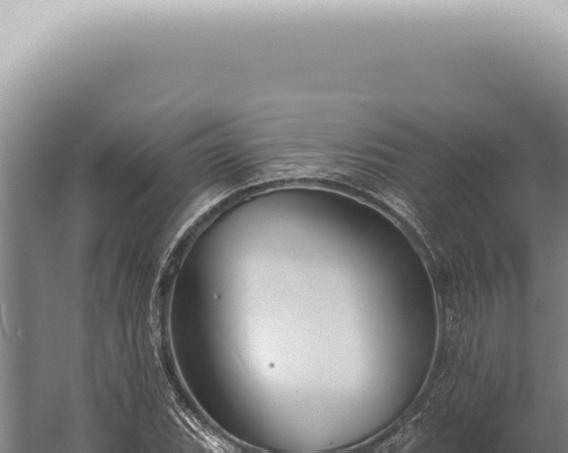 X0000059821119200510281724