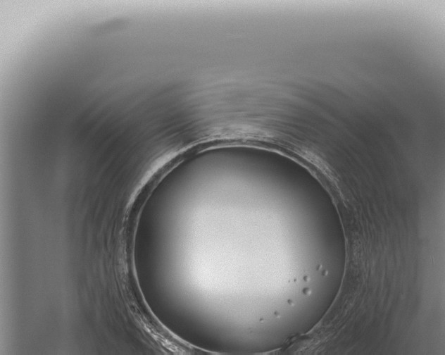 X0000059821120200510281724